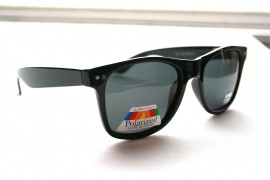Black retro polarised sunglasses