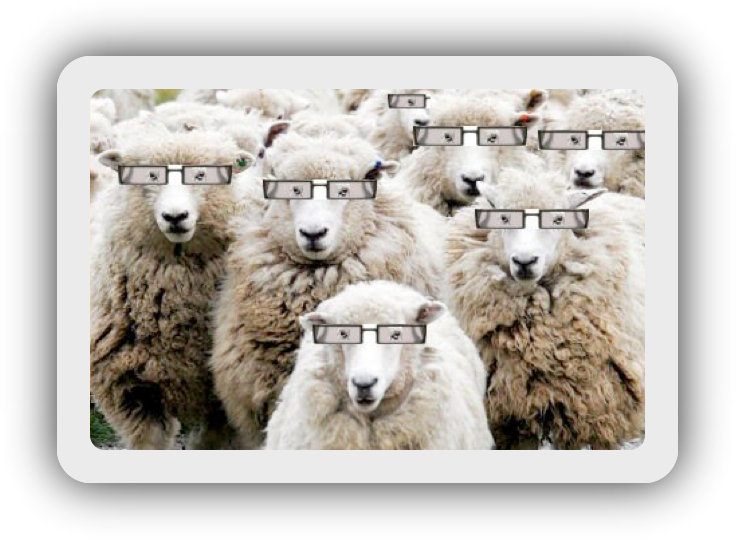 sheep-glasses-1.jpg sheep-glasses-1.jpg
