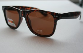 Wayfarer style mens sunglasses